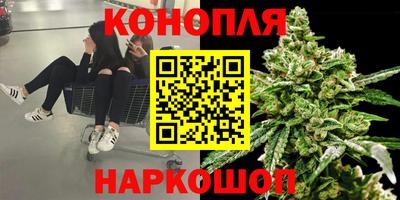 мдпв Донской