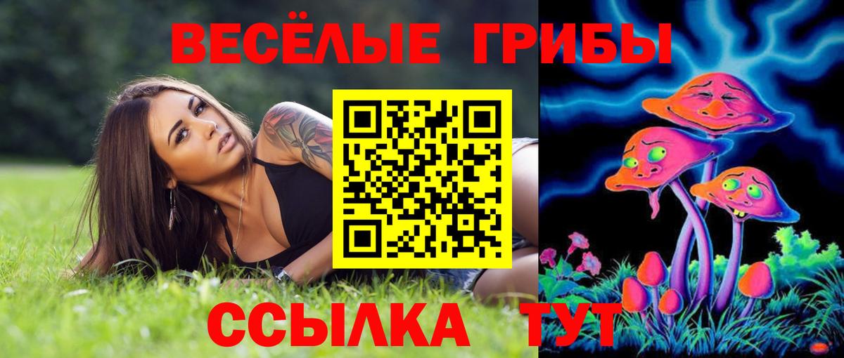 Гашиш  Гашиш  Купить наркотики  Михайловка  Конопля  Вход с VPN  Меф кристаллы 