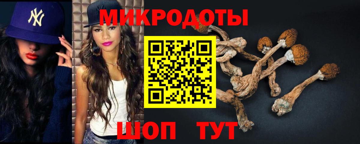 Галлюциногенные грибы мицелий Михайловка