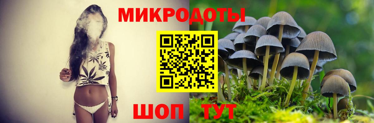 Михайловка  Галлюциногенные грибы ЛСД  Вход с VPN 